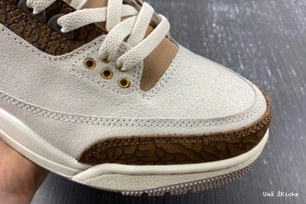 Air 379 StreetReady 3 “Palomino” 9353 CT8532- Jordan 0811